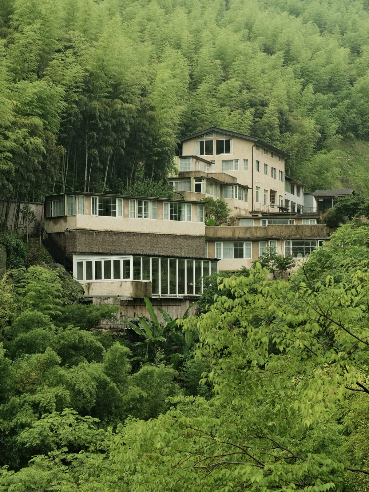 Bamboo House